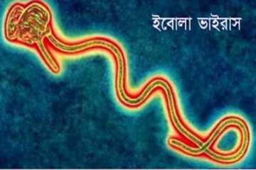 ইবোলা ভাইরাস: সিলেটে সর্বোচ্চ সতর্কাবস্থা
